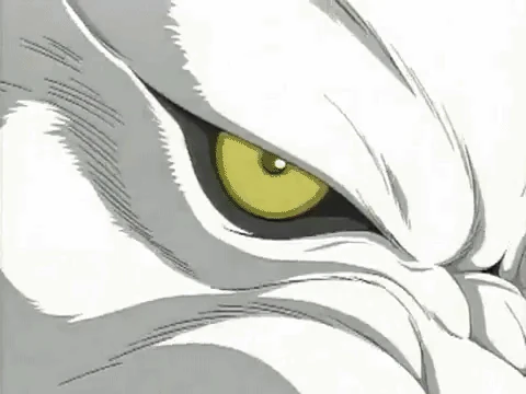 Wolf S Rain Adult Swim Wiki Fandom
