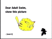 Dear Adult Swim bump