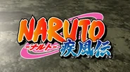 Naruto ShippudenJanuary 4, 2014