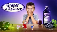 Infected Grapes of Atwater advert.
