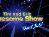 Tim and Eric Awesome Show, Great Job!