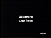 Welcome to Adult Swim (2003 bump)