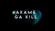 Akame ga KillAugust 8, 2015