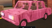 PinkBunnyWrap