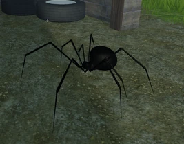 Spider