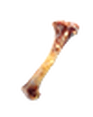 Clean Chicken Bone Eternitydev Wiki Fandom