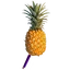 Item pineapplepen