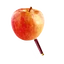Item applepen