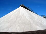 The Salt Mine!.jpg