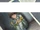 Creeping Derengea