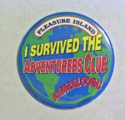 Adv Survivor Pin.jpg