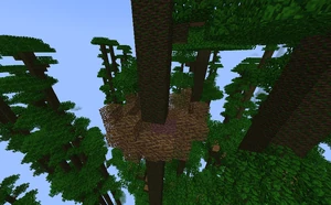 Opteryx Nest