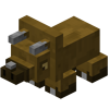 Terradon