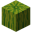 Melon