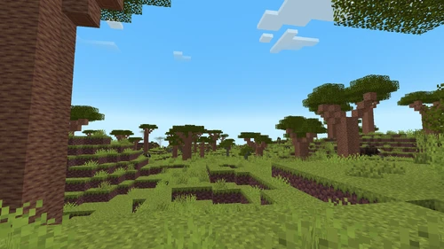 Baobab trees in Precasia