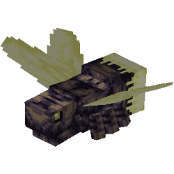 Nightfly