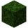 Plant Stem (Unbreakable).png