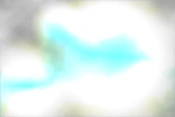 ShyreBlind