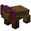Diocus