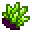 Green Druse.png
