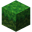 Creep Grass