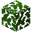 Jungle Leaves