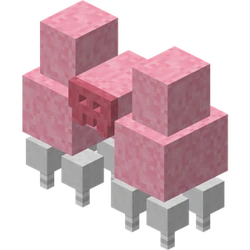 Cotton Candor