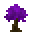 Purple Haven Sapling.png