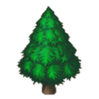 Spruce Tree