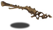 A Dino Bone.png