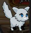 Kitten