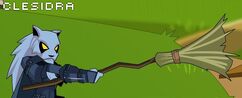 Witchsbroomstick