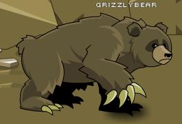 Bear