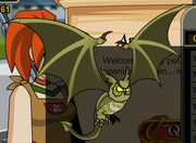 LeatherWingPet.png