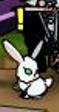 BunnyV.png