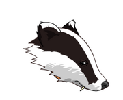 11r6deo.png