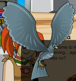 GreyHawk.png