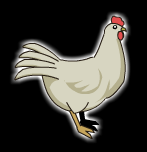 Chicken Pet