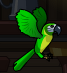 Green parrot on your Shoulder.png