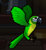 Green parrot on your Shoulder