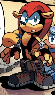 Mighty the Armadillo, Wiki Sonic