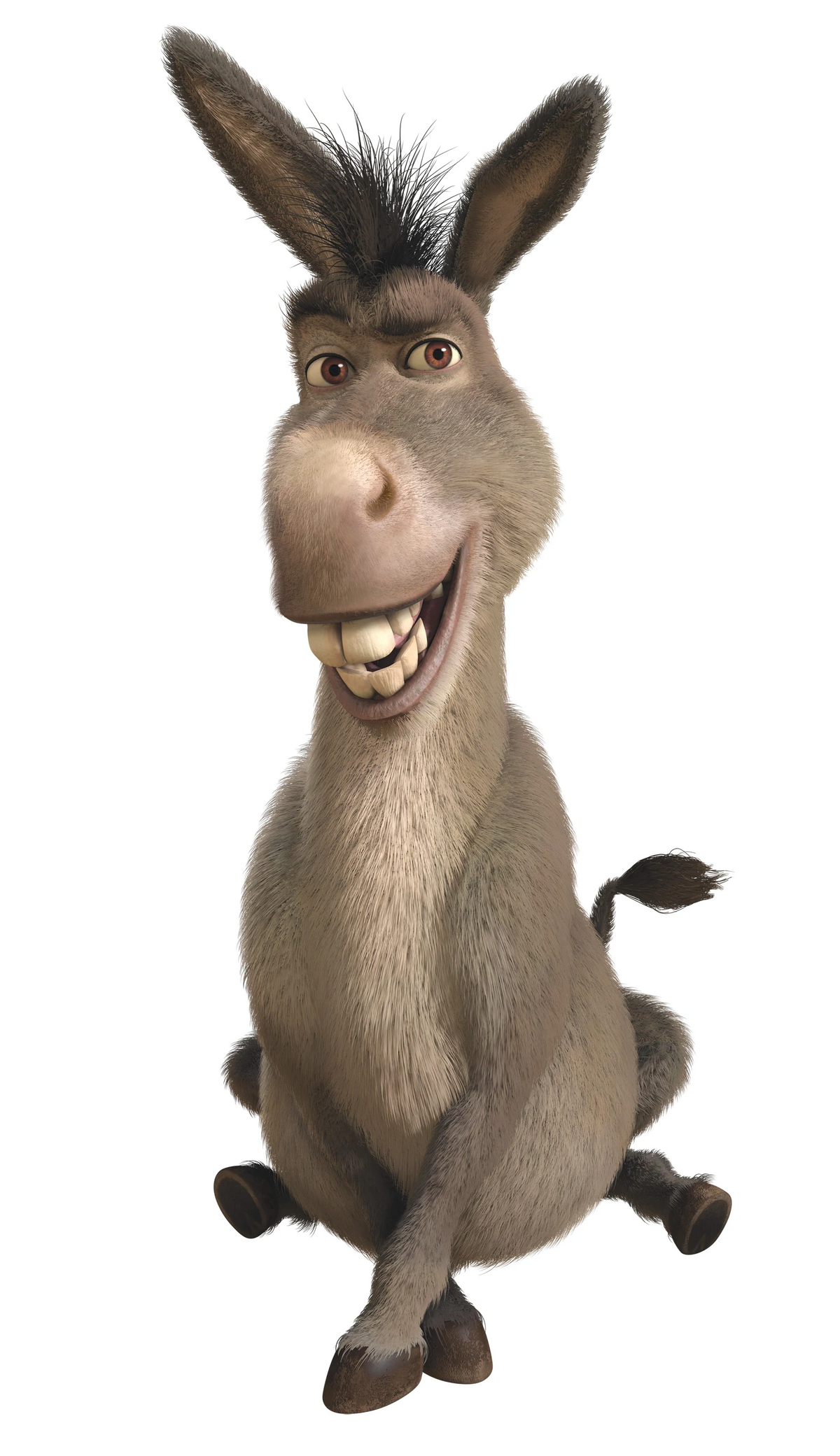 Check out this transparent Donkey on top of Shrek PNG image