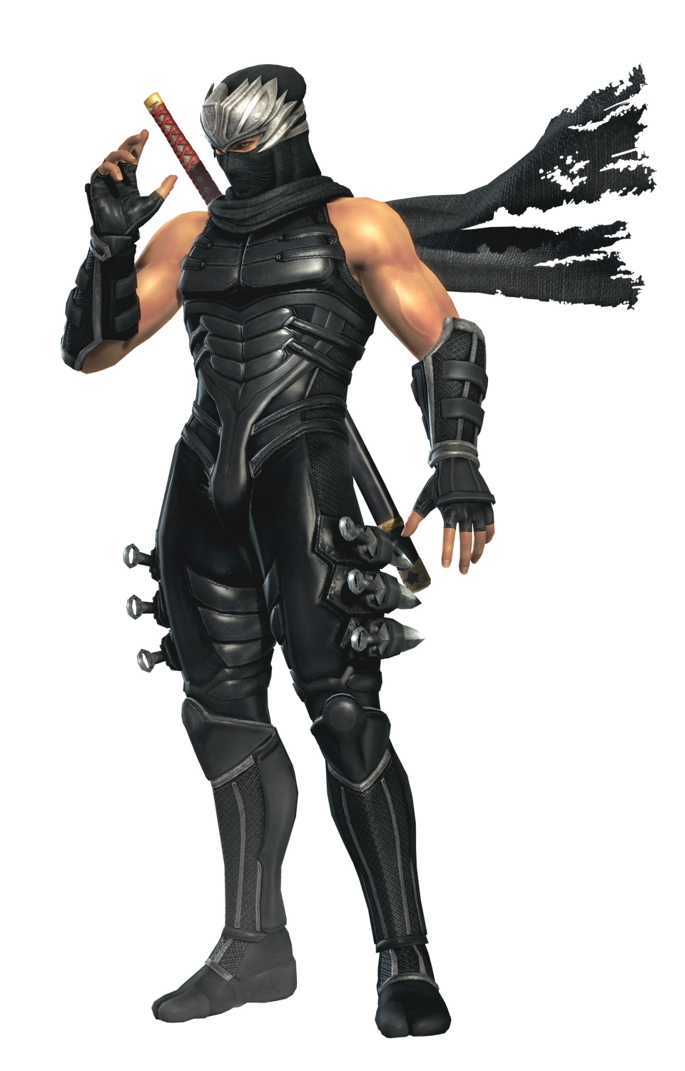 Ryu Hayabusa | Adventures of Chris And Tifa Wiki | Fandom