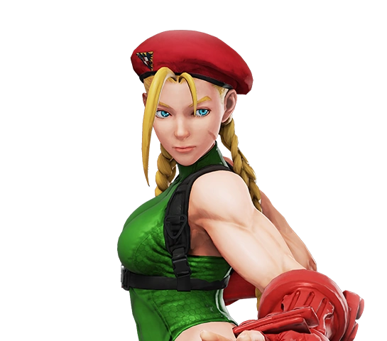 Cammy White from the Street Fighter Series