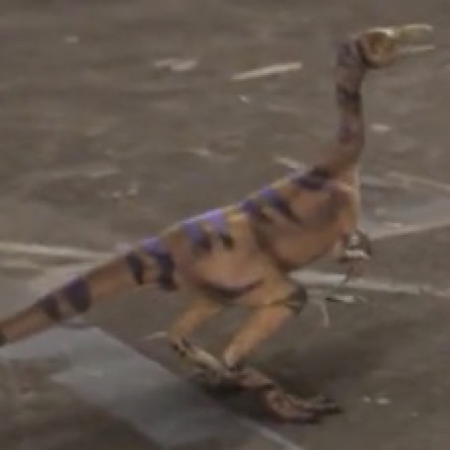 Procompsognathus Triassicus