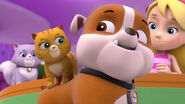 103-paw-patrol-kitty-catastrophe-16x9