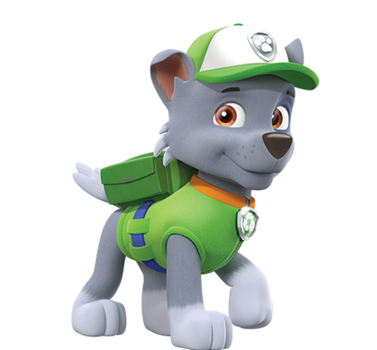 what kind of puppy is rocky from paw patrol