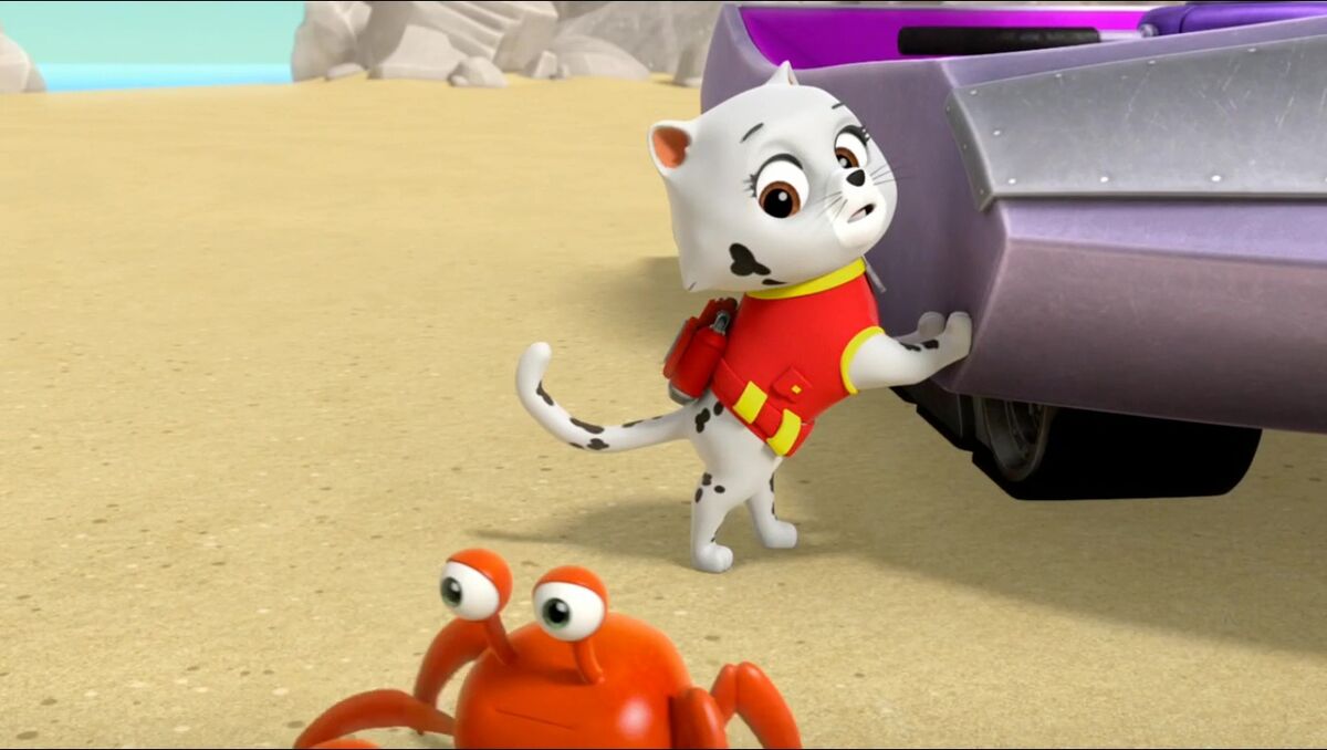Paw patrol cat hot sale marshall