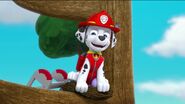 PAW Patrol Pups Save the Songbirds Scene 45