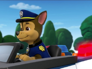 Chase driving his police vehicle